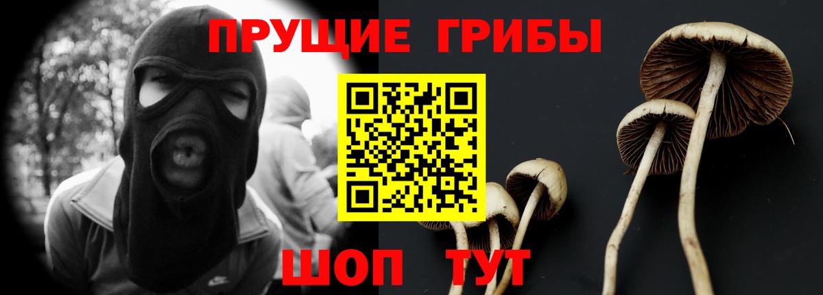 Галлюциногенные грибы ЛСД Луга